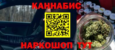 крисы Кулебаки