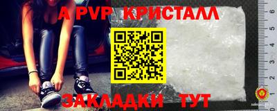крисы Кулебаки