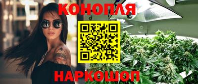 крисы Кулебаки