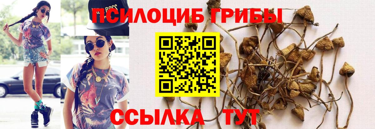 Псилоцибиновые грибы MAGIC MUSHROOMS  Псилоцибиновые грибы Psilocybe  Вход с VPN  наркошоп  Кизляр 
